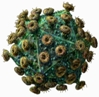 VIRUS-HIV min